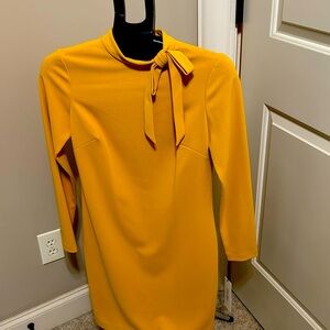 Calvin Klein, size 4, long sleeve knee length.